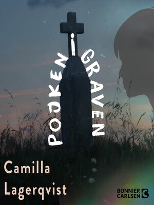 cover image of Pojken i graven